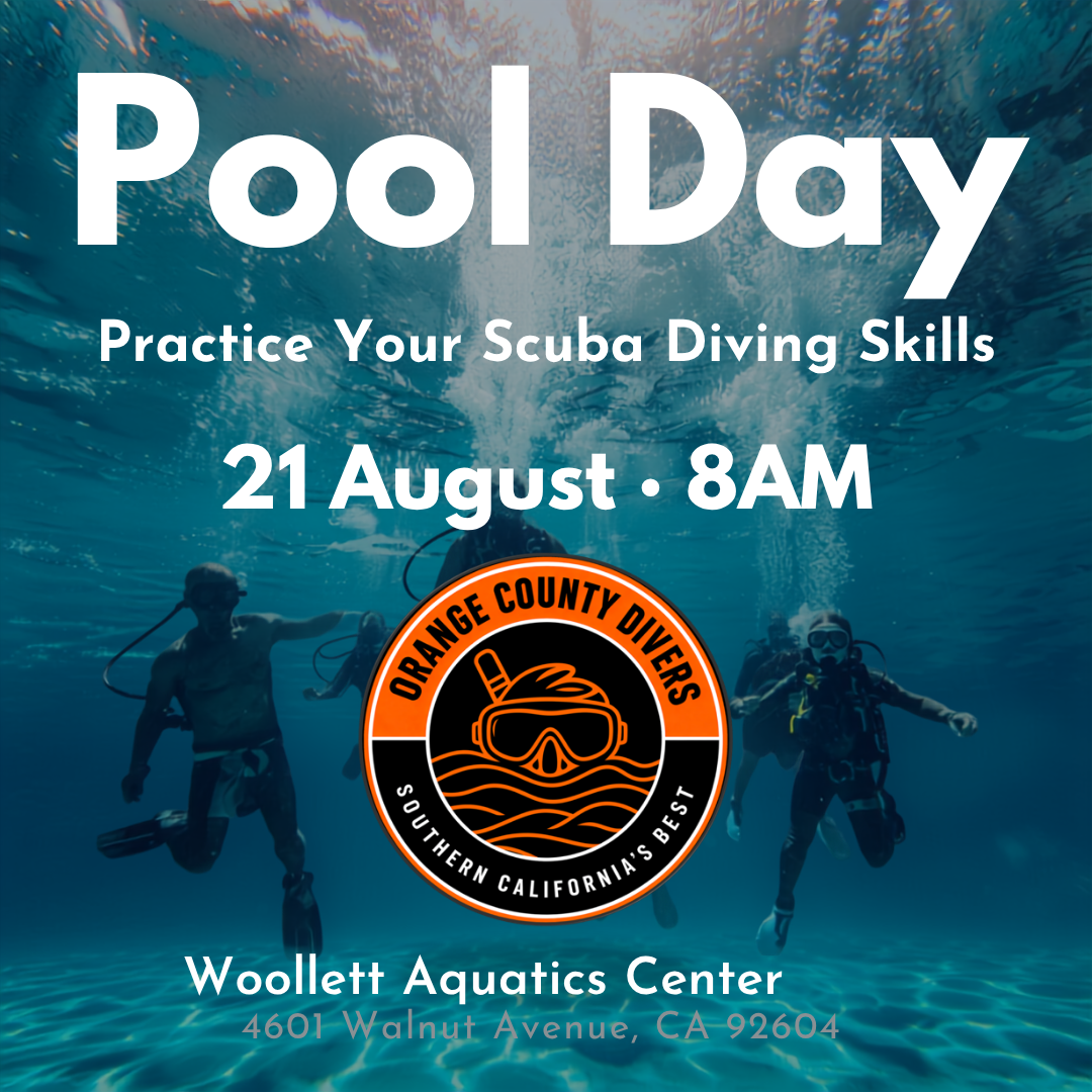 Orange County Divers Pool Day