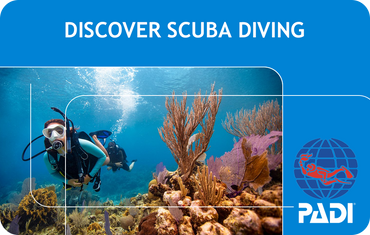 PADI Discover Scuba Diving