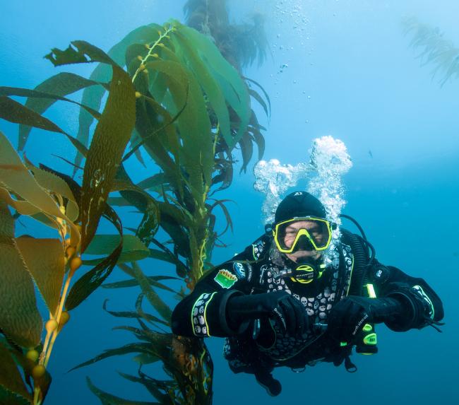 Waterhorse Charters – San Diego Boat Trips & Dive Adventures