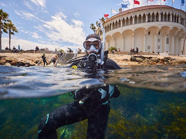 Guided Dive - Discover Local Diving