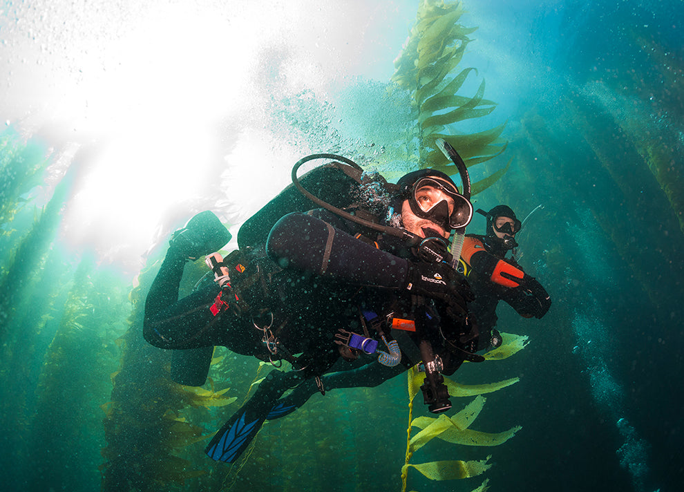 Discover Local Diving