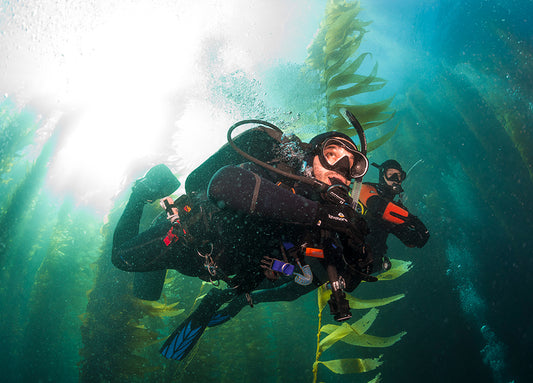 Discover Local Diving