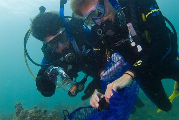 PADI AWARE Specialty Course | Ocean Conservation | Orange County Divers