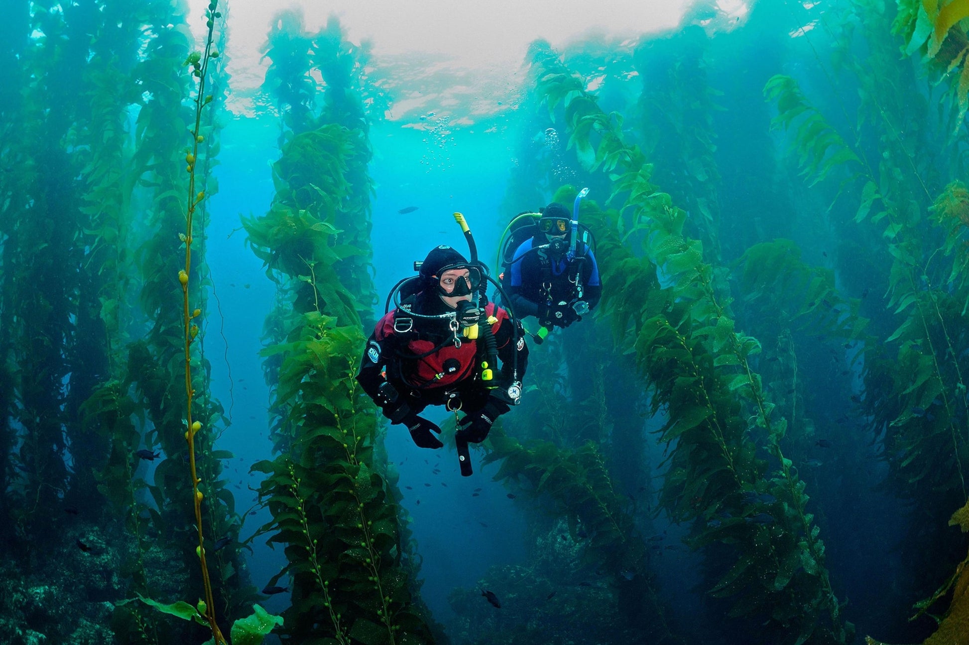 PADI Advanced Open Water Diver Course | Orange County Divers