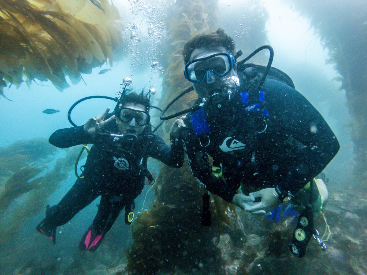 PADI Advanced Open Water Diver Course | Orange County Divers