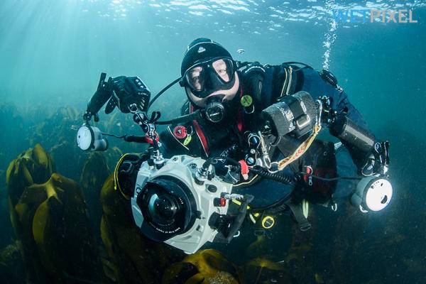PADI Digital Underwater Photographer Specialty Orange County Divers