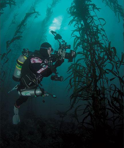 PADI Digital Underwater Photographer Specialty Orange County Divers