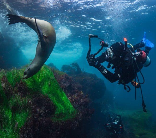 PADI Digital Underwater Photographer Specialty Orange County Divers