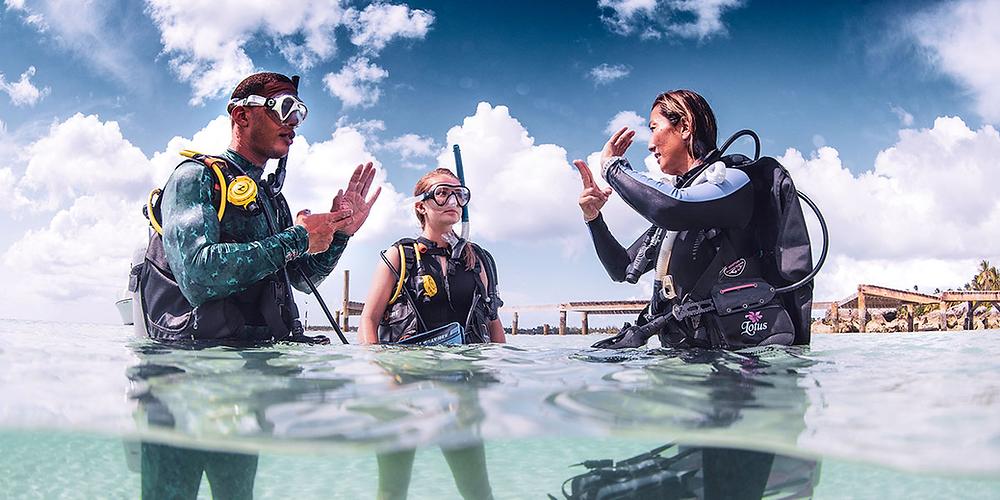 PADI Divemaster Course Become a Dive Professional Orange County Divers