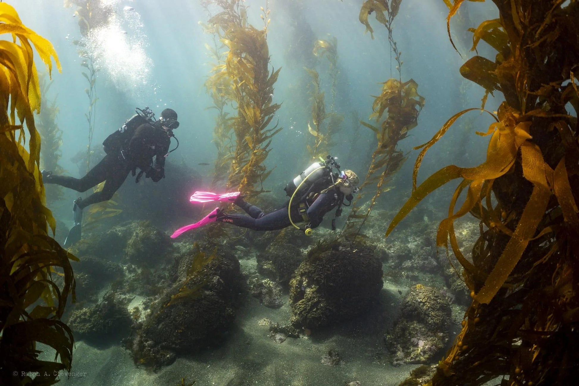 PADI Divemaster eLearning Online Divemaster Course Orange County Divers