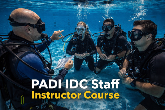 PADI IDC Staff Instructor Course