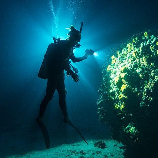 PADI Night Diver Specialty Course Orange County Divers