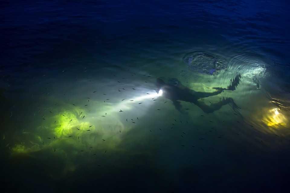 PADI Night Diver Specialty Course Orange County Divers