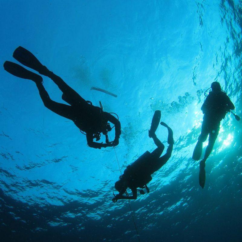 PADI Open Water Diver Course | Scuba Certification | Orange County Divers