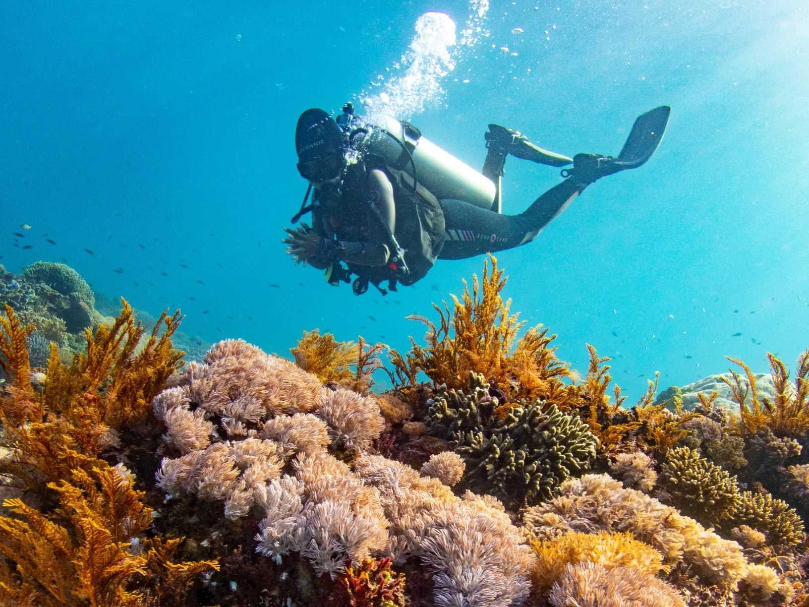 PADI Peak Performance Buoyancy Specialty Course | Orange County Divers
