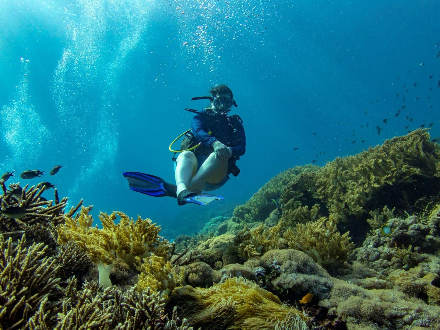 PADI Peak Performance Buoyancy Specialty Course | Orange County Divers