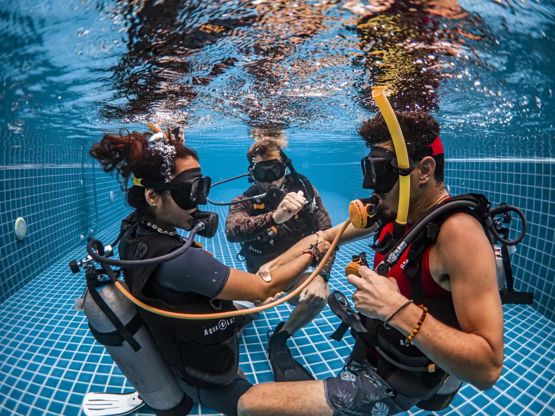 PADI ReActivate™ Refresher Course | Orange County Divers