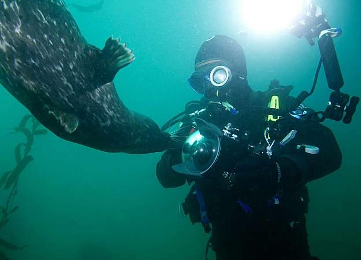PADI Underwater Videographer Specialty Course Orange County Divers