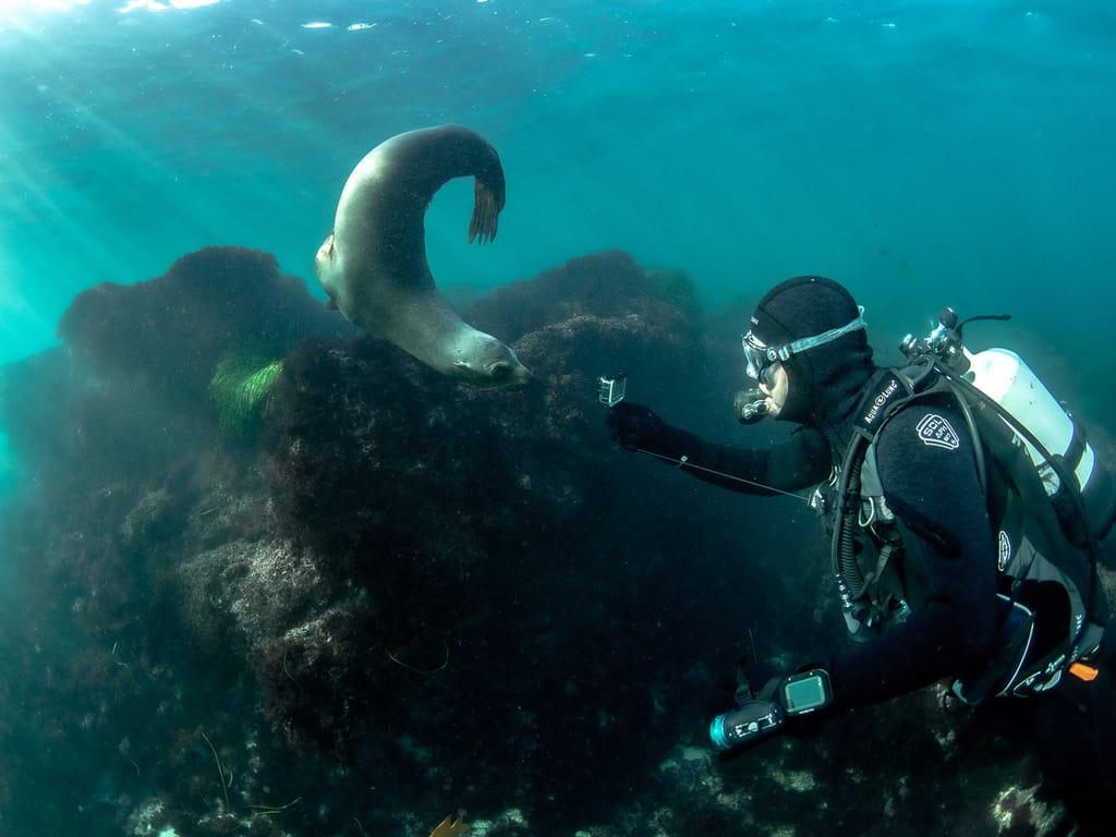 PADI Underwater Videographer Specialty Course Orange County Divers
