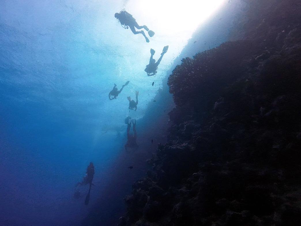 PADI Deep Diver Specialty Course | Orange County Divers