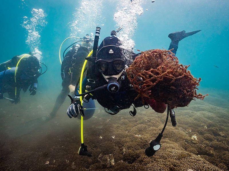 PADI Dive Against Debri Specialty Course