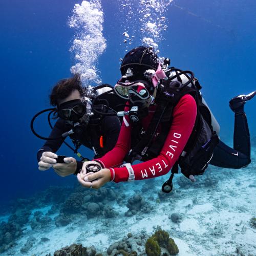 PADI Dive Theory Online eLearning | Orange County Divers