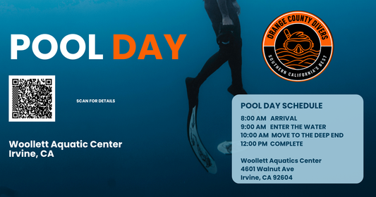 Orange County Divers Pool Day