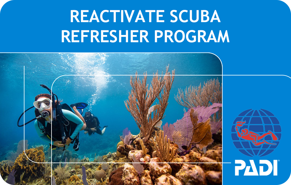 PADI ReActivate™ / Scuba Refresher Program