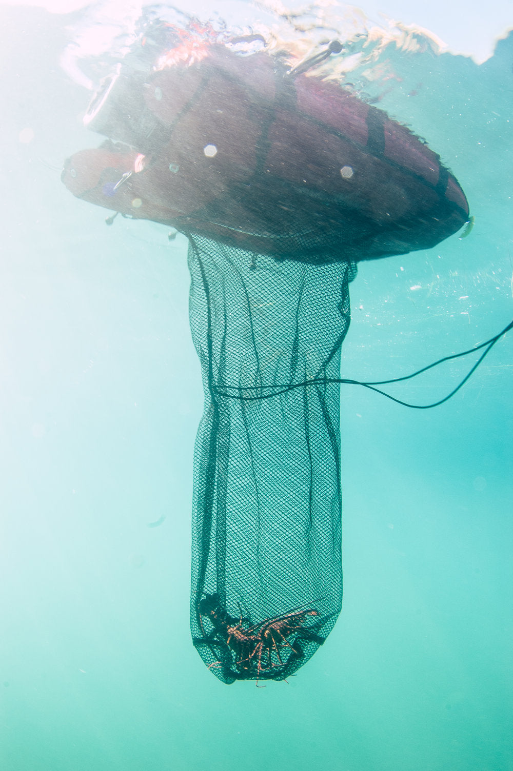 XS Scuba UFO Float Platform – Multi-Purpose Spearfishing, Hookah & Dive Utility Float