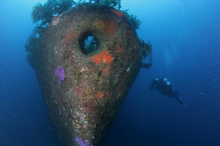 New Zealand Northland Dive Adventure 2027