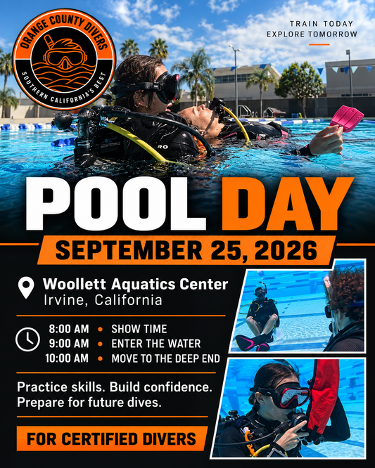 Orange County Divers Pool Day
