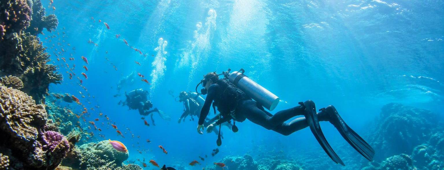 New Zealand Northland Dive Adventure 2027