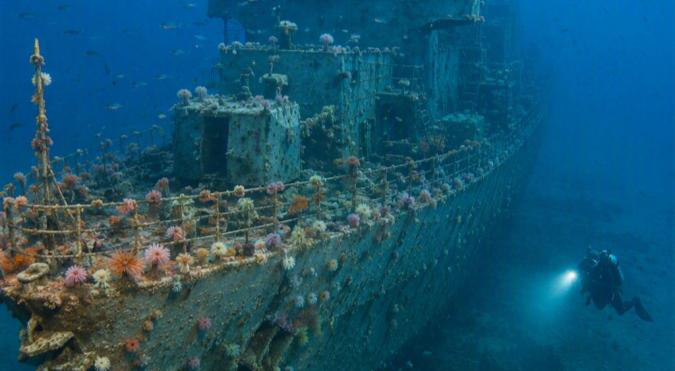 New Zealand Northland Dive Adventure 2027