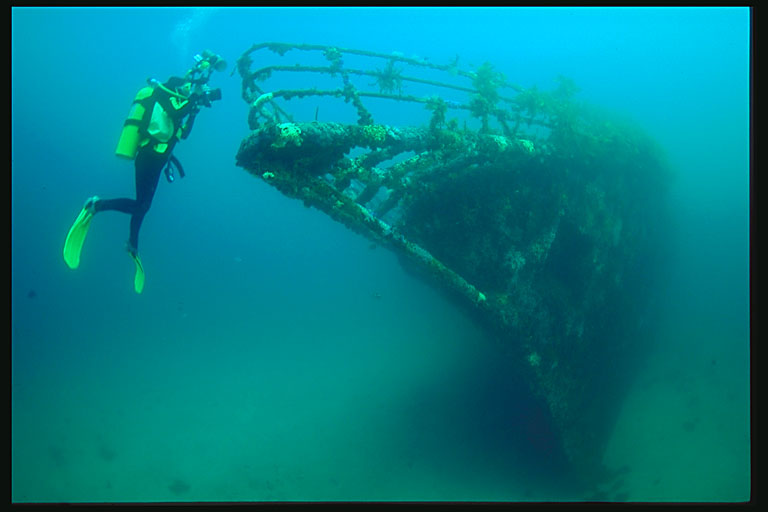 New Zealand Northland Dive Adventure 2027